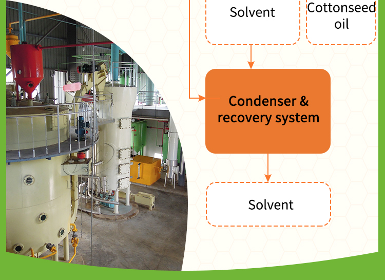 Professional cottonseed oil processing machine manufacturer and