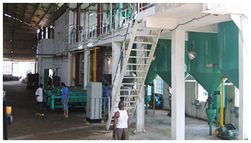 Edible oil refinery plant project cases