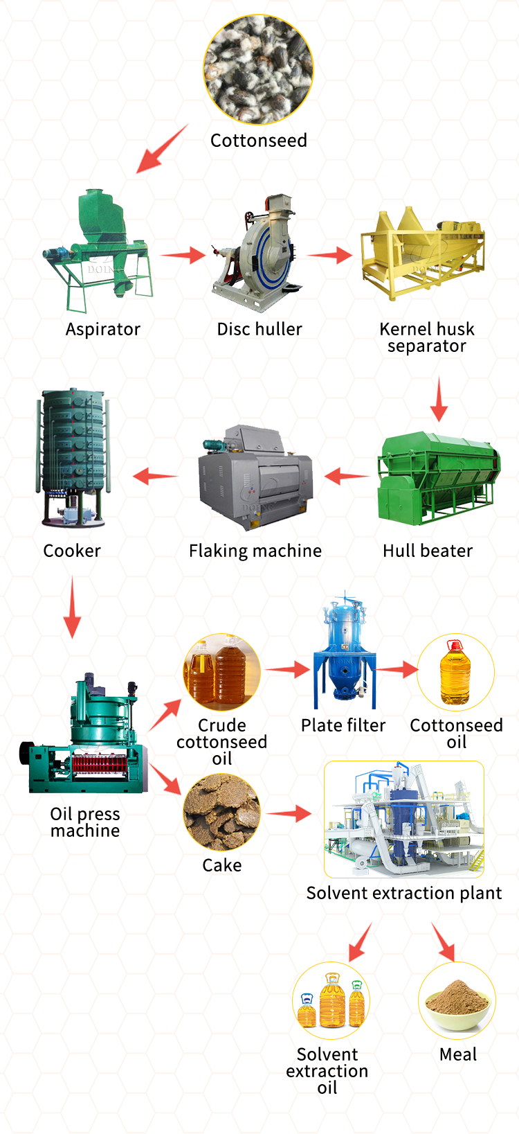 Large scale cottonseed oil press production line