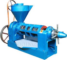 Screw oil press