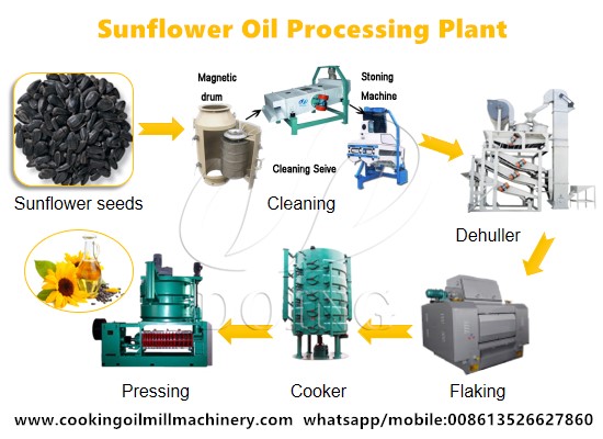Sunflower oil processing plant