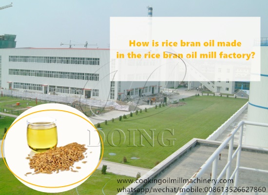 How is rice bran oil made in the rice bran oil mill factory?