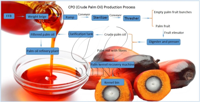 palm oil production process