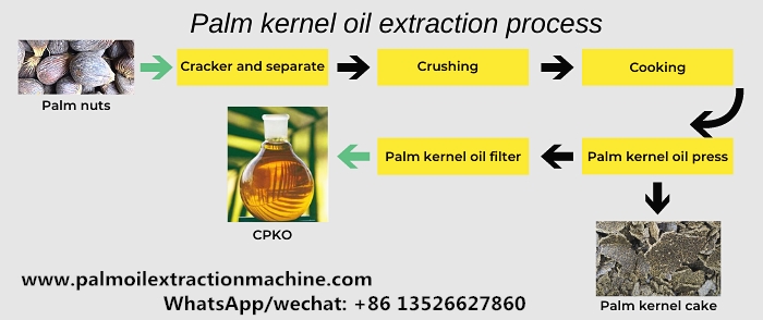 palm kernel oil production process