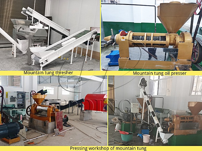 Small scale edible oil production line installation picture