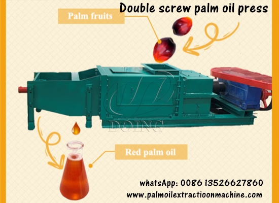 Double screw palm oil press machine