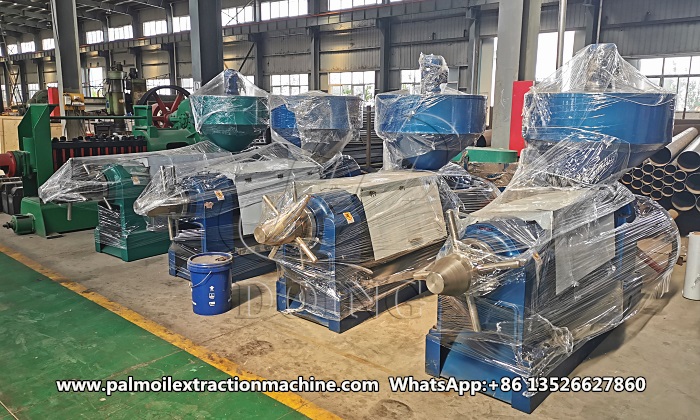 Palm kernel oil press machine in factory