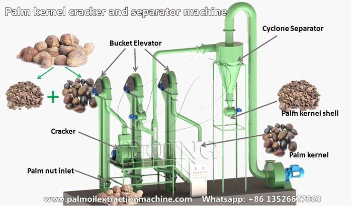 Palm kernel cracker and shell separator machine prototype