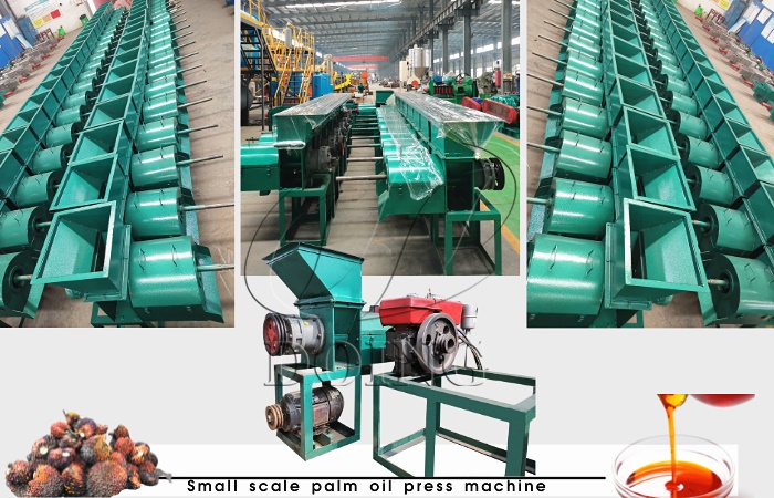 Small scale diesel palm oil press in Henan Glory Company’s factory