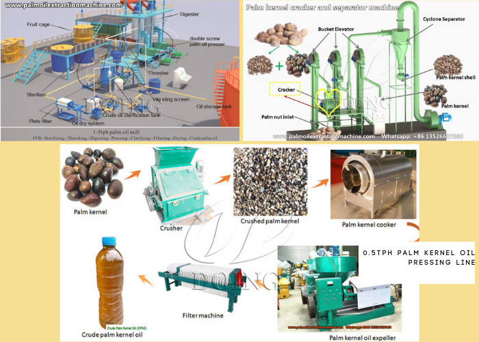 3tph palm oil pressing line, 2tph palm kernel cracker and shell separator machine and 0.5tph palm kernel oil pressing line