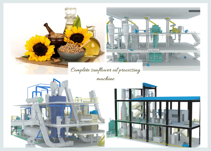Sunflower oil extraction machine photo