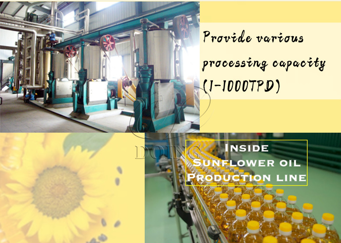Sunflower oil and sunflower oil processing machine