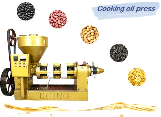 Why is small edible oil press machine so popular?
