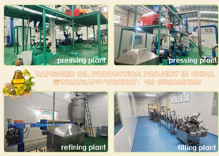 rapeseed oil production line