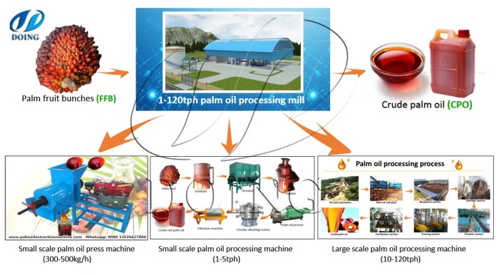 DOING palm oil extraction machine processing lines