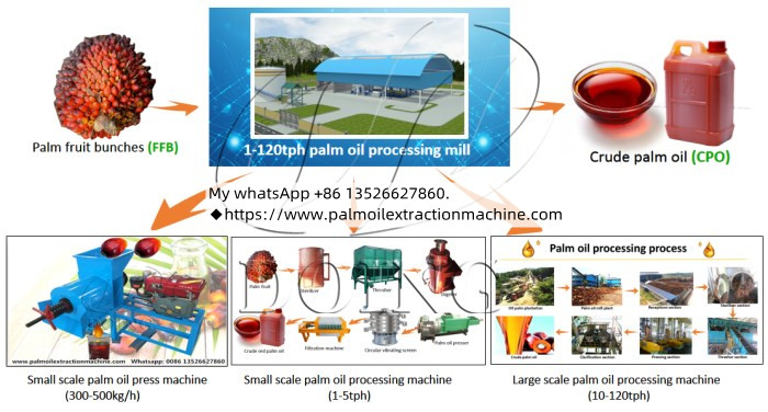 palm oil processing machines.jpg