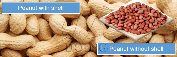 The picture of peanut.jpg