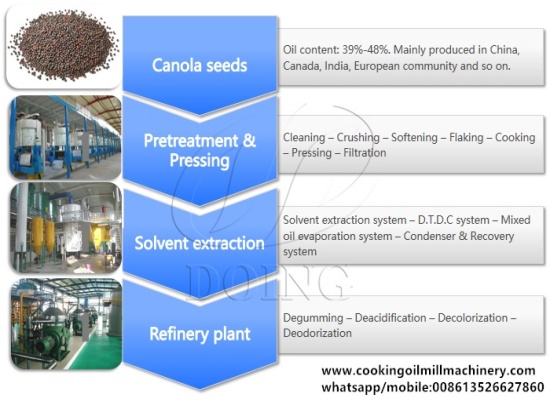 How to improve the yield of rapeseed oil?
