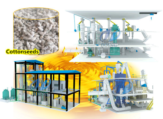 How is cotton seed oil made in large scale cottonseed oil pressing plant?