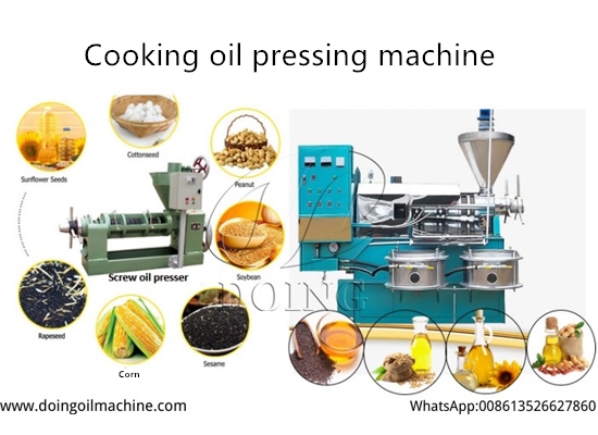 Why more and more people choose to process edible oil by pressing?