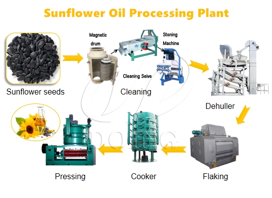 Building your small scale sunflower oil press plant with limited cost