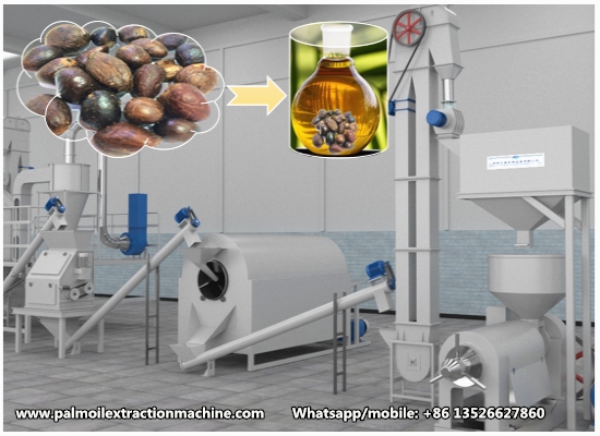 Five Major Services That Palm Kernel Oil Processing Equipment Suppliers Must Provide