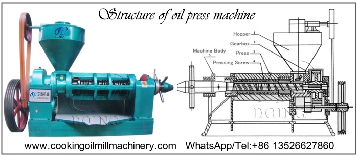 The structure of soybean oil extraction machine.jpg