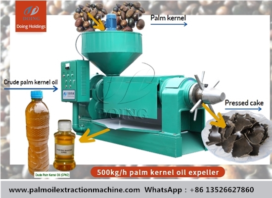 What is the working principle of crude palm kernel oil expeller?
