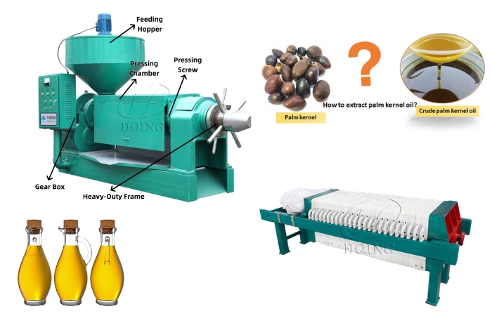Palm kernel oil extraction machines