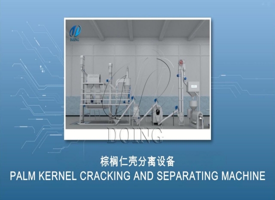 Palm kernel fiber separator & shell separating process 3D video showcase