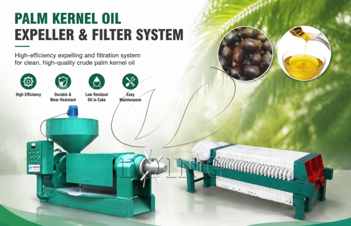 palm kernel oil processing machines