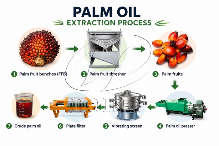 Palm oil processing line