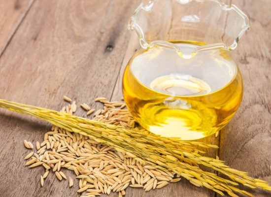 How much oil can be obtained from 1 ton rice bran?