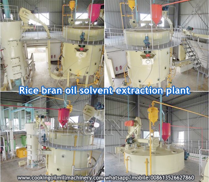 rice bran oil extraction plant