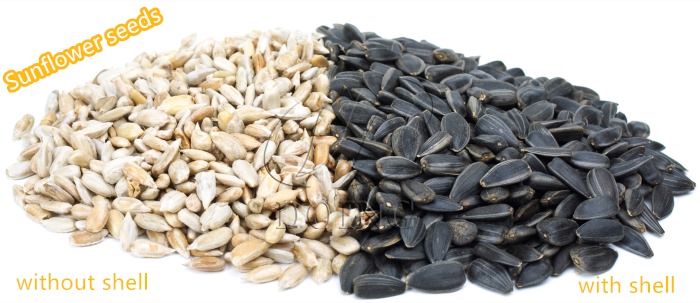 Sunflower Seeds