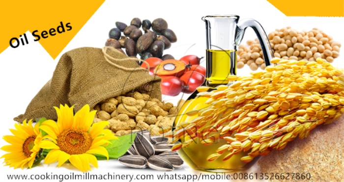 Oil Seeds