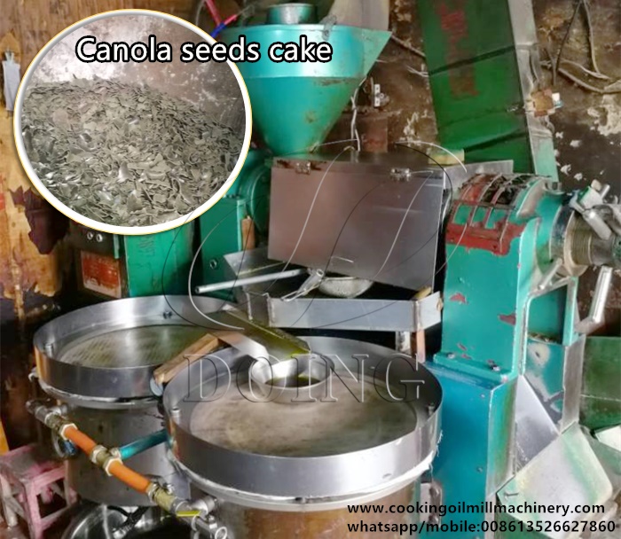 canola oil press machine