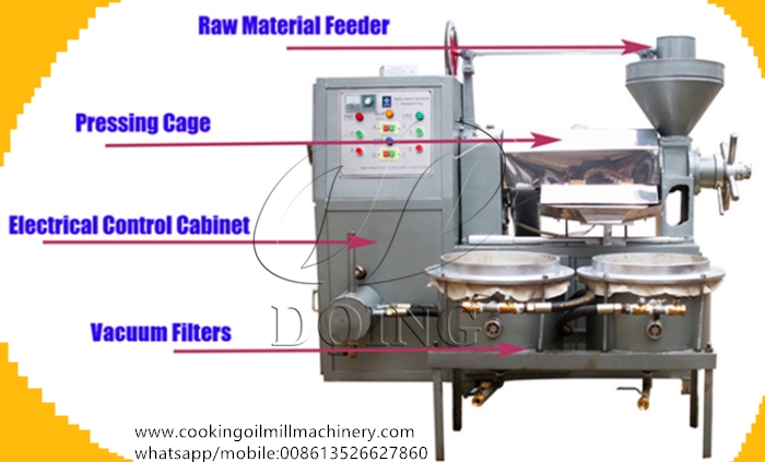 canola oil extraction machine