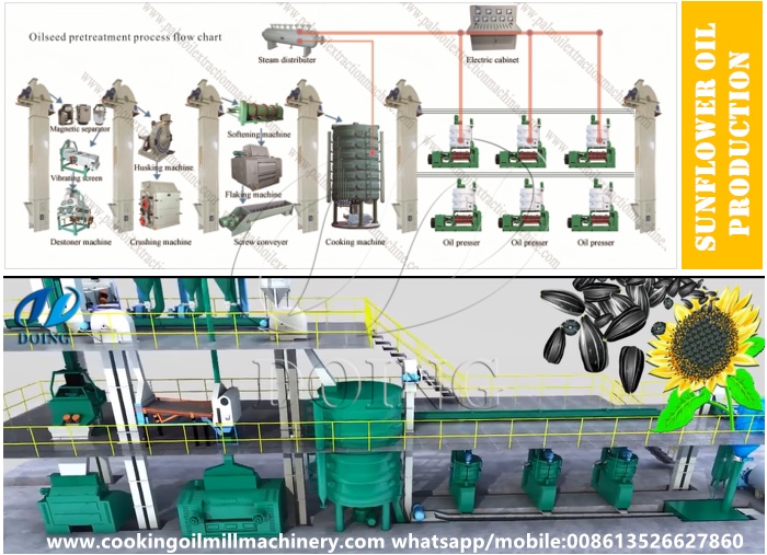 sunflower oil production palnt design