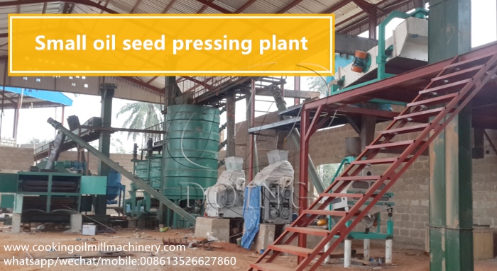 plant oil Producer