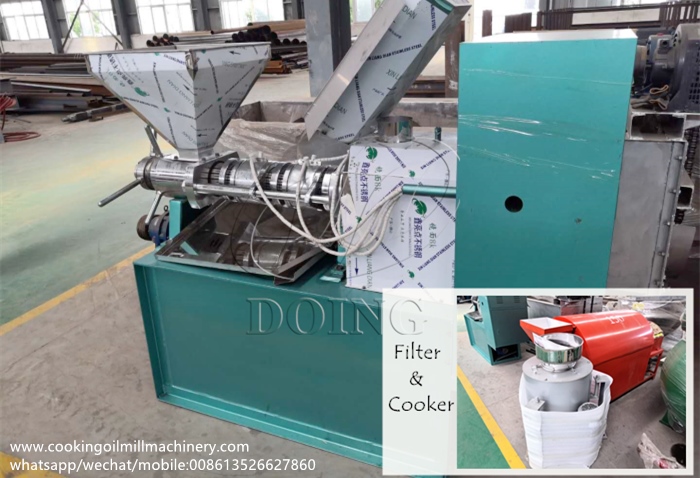 Peanut Oil extractor