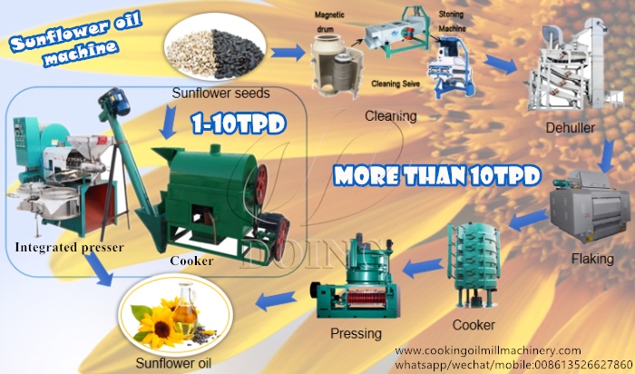 sunflower oil extraction machine