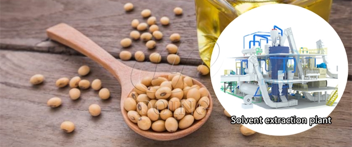 Solvent Extraction of Bean oil