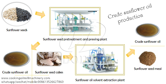 sunflower oil production process