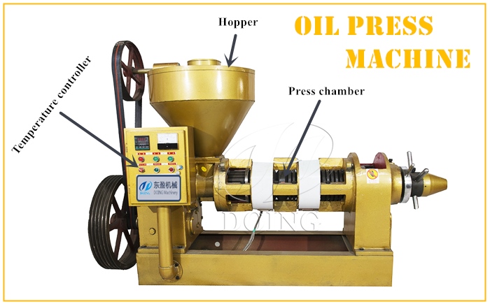 Automatic Temperature Control Cooking Oil expeller