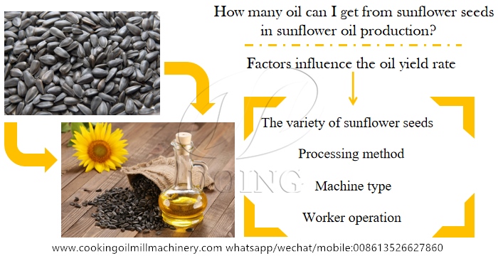 sunflower oil production