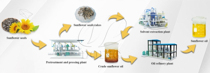 sunflower oil production process