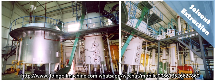 cottonseed oil extraction machine