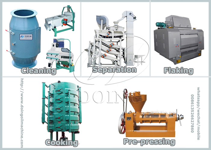 sunflower oil press process 