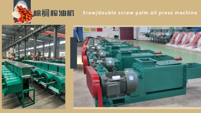 screw palm oil press machine